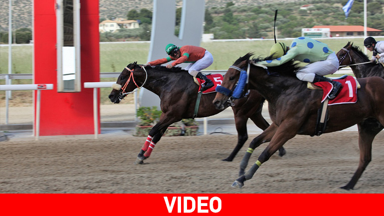 Ιπποδρομιακός πυρετός στο Μαρκόπουλο – Το ΣΚΟΡ 6 μοιράζει τουλάχιστον 20.000 ευρώ