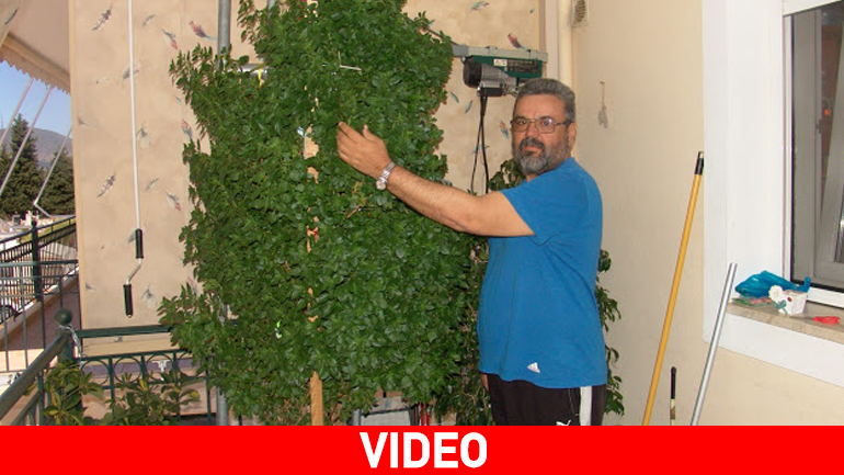 Βασιλικός για… Ρεκόρ Γκίνες στη Νέα Σελεύκεια Ηγουμενίτσας!