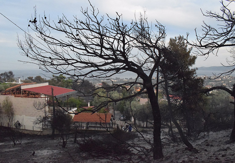 Η πύρινη λαίλαπα πέρασε δίπλα από κατοικίες