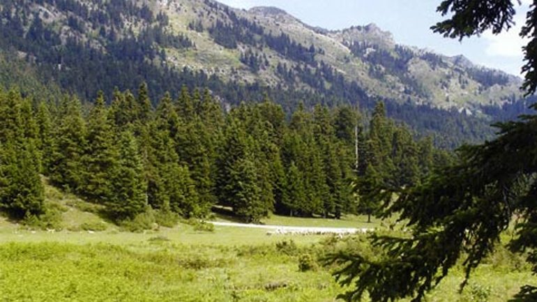 Ιερά μονή διεκδικεί 17.000 στρέμματα δάσους από το Δημόσιο