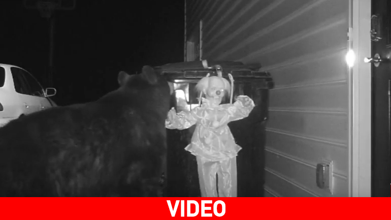 ΗΠΑ: Κλόουν… σκιάχτρο διώχνει αρκούδα!