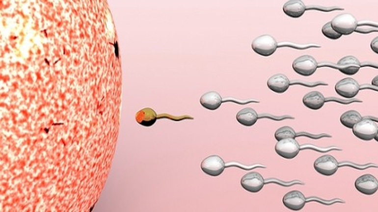 Ανδρική υπογονιμότητα: Περιβαλλοντικοί, διατροφικοί παράγοντες και χρήση φαρμάκων