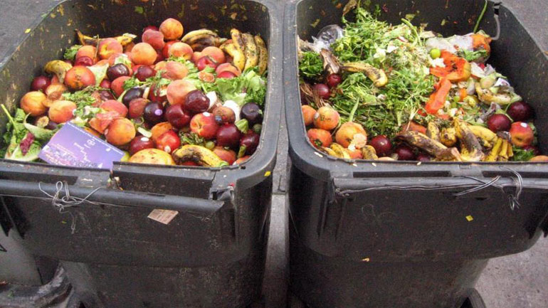 Οι ευρωβουλευτές προτείνουν τη λήψη μέτρων για τη μείωση της σπατάλης τροφίμων