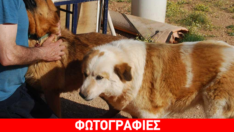 Η Miranda αναζητεί την αγάπη