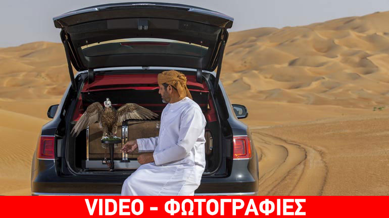 Αν έχεις γεράκι σου βρήκαμε το ιδανικό αυτοκίνητο!