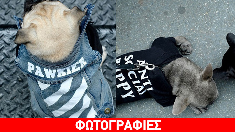 Τα πιο στιλάτα street style κομμάτια για τους τετράποδους φίλους μας!