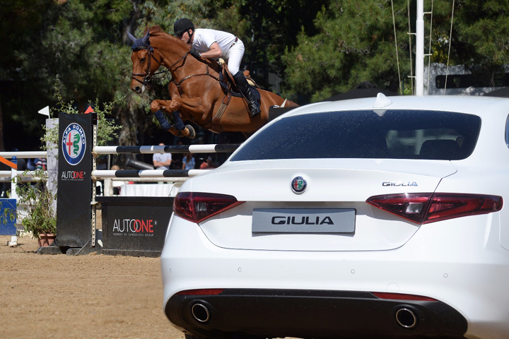 Αγωνιστικά άλογα!