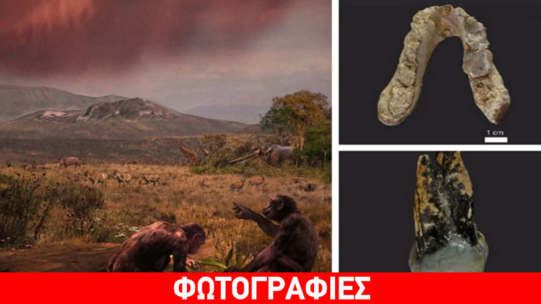 Αλλάζει η ιστορία: Graecopithecus, ο πρώτος άνθρωπος που ίσως να εμφανίστηκε στην Ελλάδα!