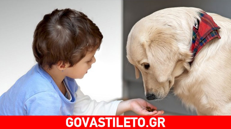 Σε ποια ηλικία μπορεί ένα παιδί να φροντίσει τον σκύλο ή τη γάτα;
