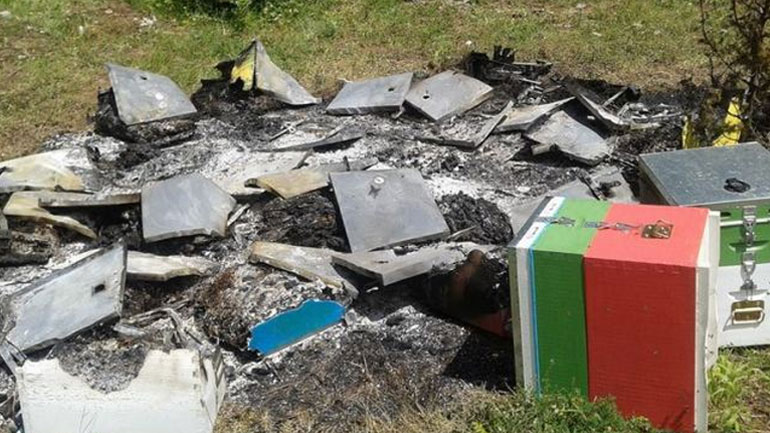 Φωκίδα: Εκατοντάδες μελίσσια παραδόθηκαν στις φλόγες