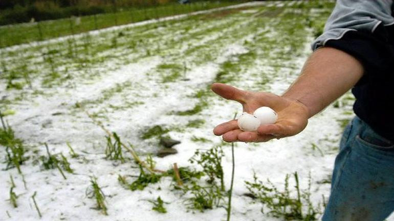 Λάρισα: Ζημιές σε χιλιάδες στρέμματα από το χαλάζι
