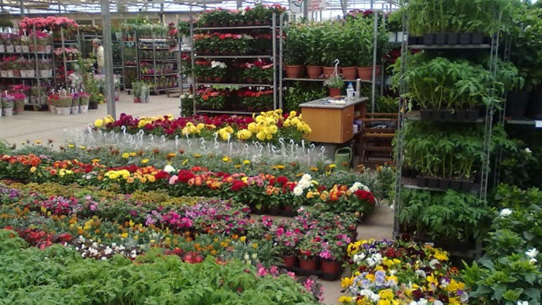 Δωρεάν διανομή φυτών από το Φυτώριο του δήμου Ελευσίνας