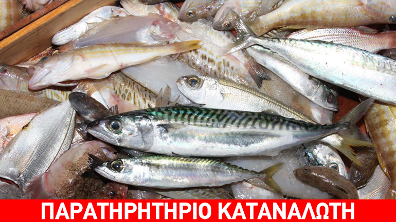 Κατάσχεση αλιευμάτων στην Ιχθυόσκαλα Ν. Μηχανιώνας