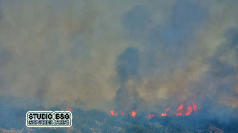 Αργολίδα: Επικίνδυνη πυρκαγιά στα Δενδρά Μιδέας του Δήμου Ναυπλιέων