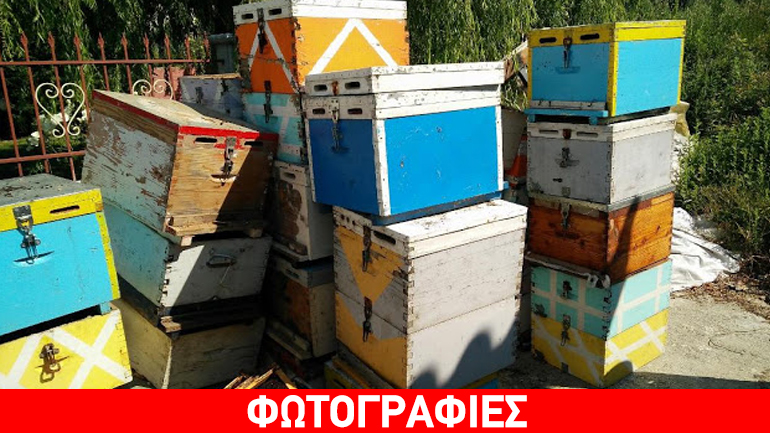 Εύβοια: Έκανε μπίζνες με κάνναβη και κλεμμένα μελίσσια