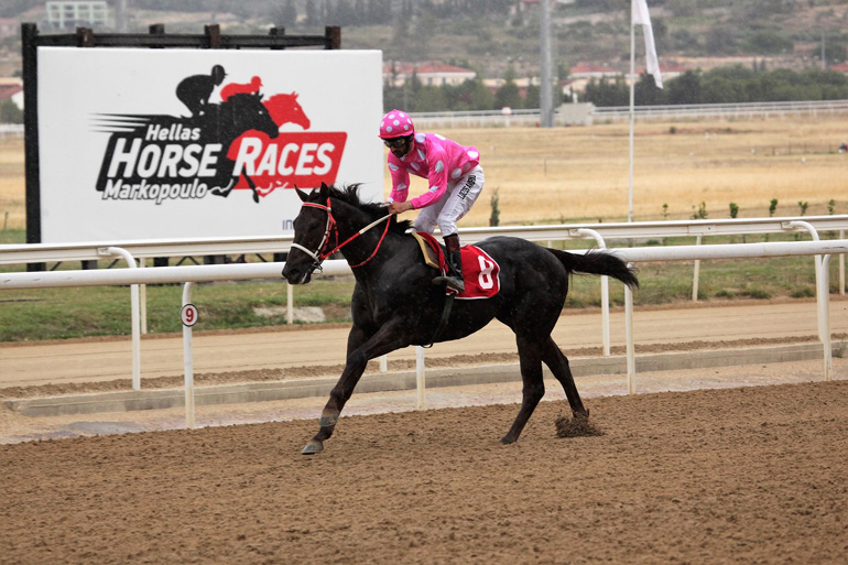 O νικητής  Ίππος Poetic Guest 