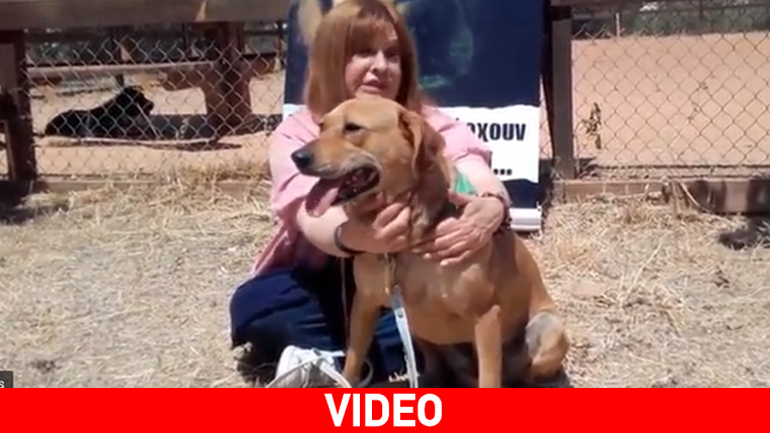 H Τζόυς Ευείδη μάς παρουσιάζει την Kangaroo