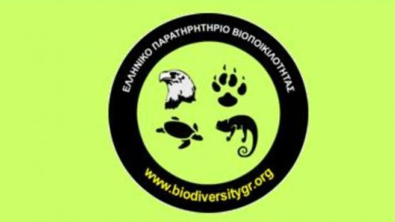 Ελληνικό Παρατηρητήριο Βιοποικιλότητας: Δεν υπάρχει Camel Spider στην Ελλάδα