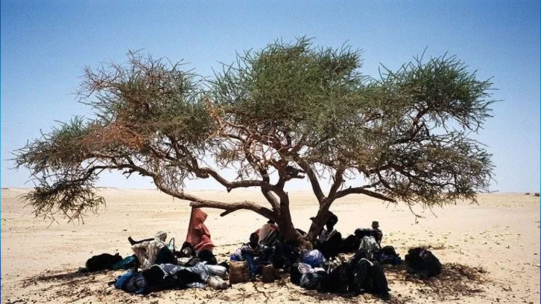 Νίγηρας: Τουλάχιστον 44 μετανάστες, μεταξύ αυτών νεογνά, βρέθηκαν νεκροί στην έρημο