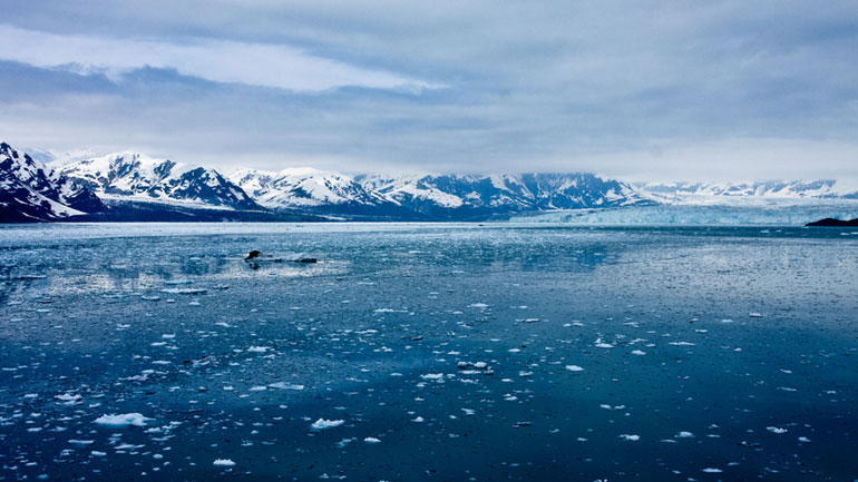 Εκατοντάδες μεγάλοι κρατήρες που εκλύουν μεθάνιο ανακαλύφθηκαν στον Αρκτικό βυθό Εκατοντάδες μεγάλοι κρατήρες που εκλύουν μεθάνιο ανακαλύφθηκαν στον Αρκτικό βυθό