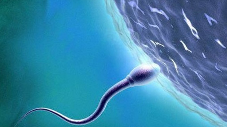 Τι μπορεί να κάνει ένας άνδρας για να έχει υγιές σπέρμα