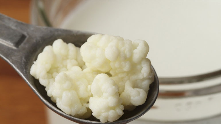 Το προβιοτικό που συμβάλλει στην αντιμετώπιση της κατάθλιψης