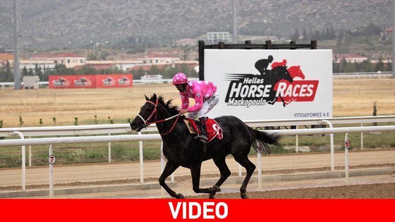 Σούπερ πρόγραμμα και αυτό το Σάββατο στο Μαρκόπουλο – Ιπποδρομίες κάθε Παρασκευή για τη θερινή περίοδο