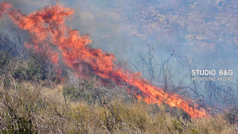 Με δυο πυρκαγιές ξεκίνησε η καλοκαιρινή περίοδος για την Αργολίδα