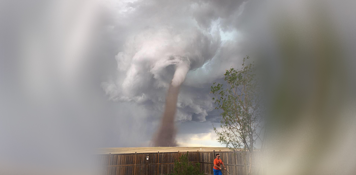 Όταν ο κήπος σου είναι πάνω από όλα
