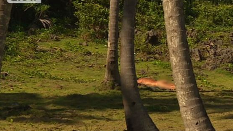 Survivor: Ο Γιάννης Σπαλιάρας έκανε… γυμνισμό!