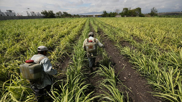 ΗΠΑ-Μεξικό: Επετεύχθη συμφωνία για το εμπόριο ζάχαρης