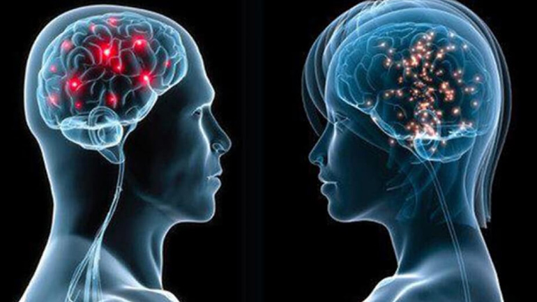 Πόσο διαφέρει τελικά ο εγκέφαλος του άνδρα από αυτόν της γυναίκας; Πόσο διαφέρει τελικά ο εγκέφαλος του άνδρα από αυτόν της γυναίκας;