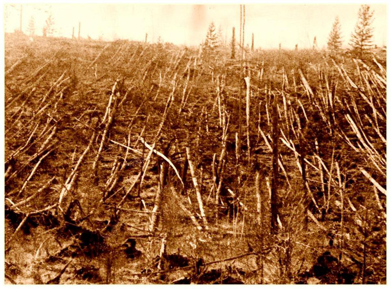 Από το Συμβάν, κάηκαν 80 εκατομμύρια δέντρα σε μια έκταση μεγαλύτερη από 2,15 εκατομμύρια στρέμματα