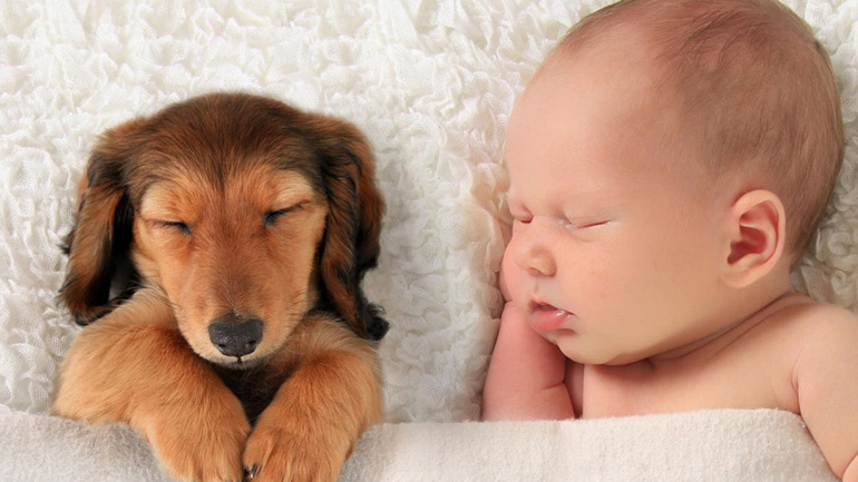 Τι κάνουμε όταν ο σκύλος μας ζηλεύει το νεογέννητο μωρό μας;