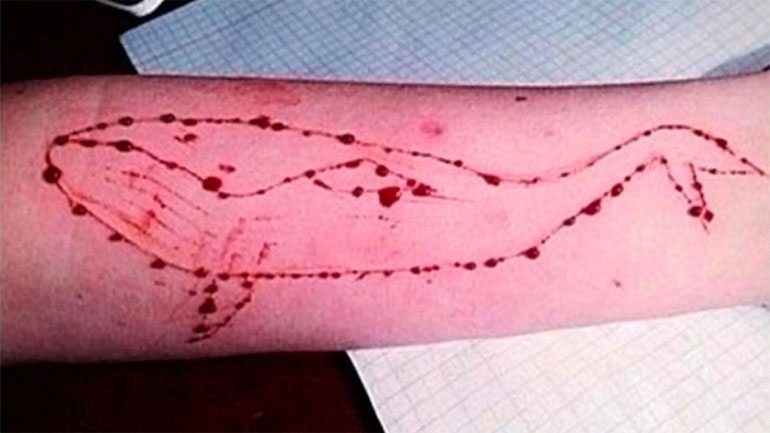 Πάτρα: Παρέμβαση της Eισαγγελίας για την «Μπλε Φάλαινα»