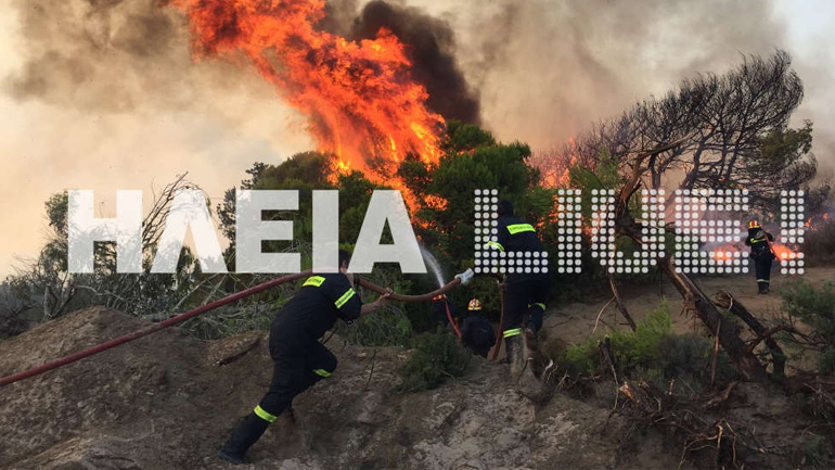 Ηλεία: Μεγάλη φωτιά σε δασική περιοχή