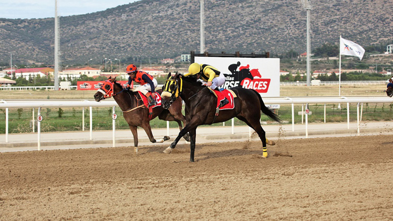 Μεγάλα κέρδη με αποδόσεις ρεκόρ από τις ιπποδρομίες το προηγούμενο Σάββατο στο Μαρκόπουλο