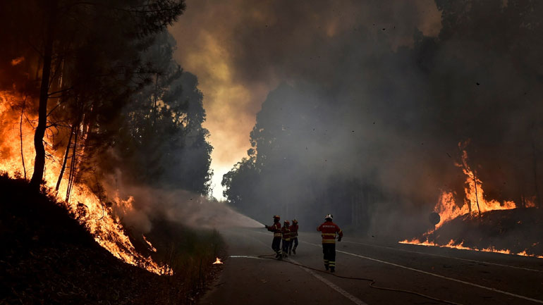 Δασική πυρκαγιά με 19 νεκρούς στην Πορτογαλία