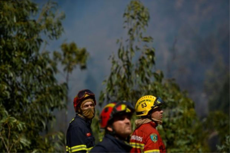 Ισχυρές δυνάμεις της πυροσβεστικής