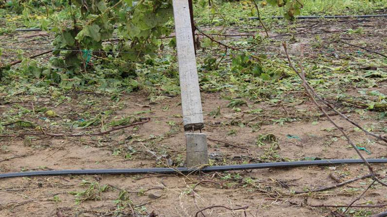 Μεγάλες καταστροφές στη Λιβαδειά από την έντονη κακοκαιρία