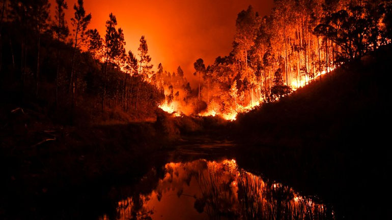 Περίπου 60 δασικές πυρκαγιές ξέσπασαν σε ολόκληρη την Πορτογαλία 
