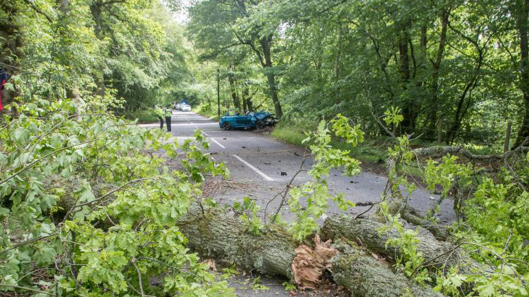 Έκοψε το δέντρο με τη BMW M2! Έκοψε το δέντρο με τη BMW M2!