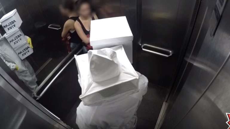 H απόλυτη φάρσα με τις μέλισσες στο ασανσέρ