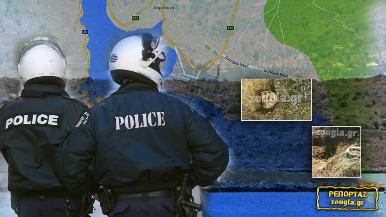 Θρίλερ με πτώμα στη Φωκίδα Θρίλερ με πτώμα στη Φωκίδα