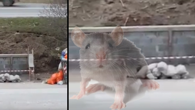 Κάτοικοι Θεσσαλονίκης: Πιάσαμε ποντίκια – Ρίξτε τα σκουπίδια στο δημαρχείο!