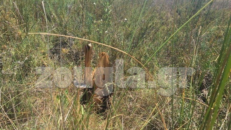 Αυτά είναι τα δύο άτομα που έχασαν τη ζωή τους από τη συντριβή του ελικοπτέρου στον Σχοινιά