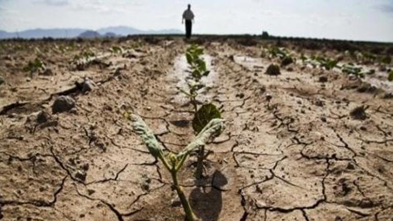 Ιταλία: Η ξηρασία έχει κοστίσει στους αγρότες της χώρας 1 δις ευρώ