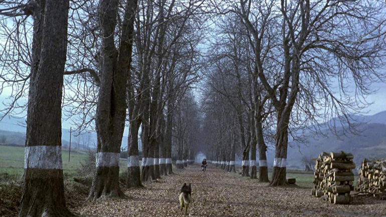 7th Athens Open Air Film Festival: Προβολή της ταινίας «Ο Νότος»