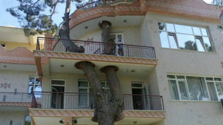 Όταν φύση και ανάπτυξη πάνε μαζί… Η πολυκατοικία στην Καλαμαριά που χτίστηκε πάνω σε δέντρο!