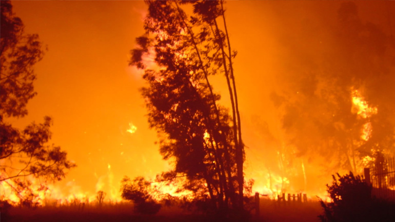 Φλέγεται η νότια Ισπανία – Εκκενώσεις κατοικιών – Επί ποδός ο κρατικός μηχανισμός